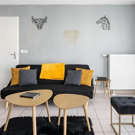 Pure Gold - Casa Vostra - Caution 800 Eur & Id Requises - Proche Chateau Rouge * Annemasse